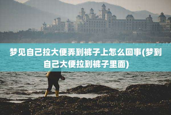 梦见自己拉大便弄到裤子上怎么回事(梦到自己大便拉到裤子里面)