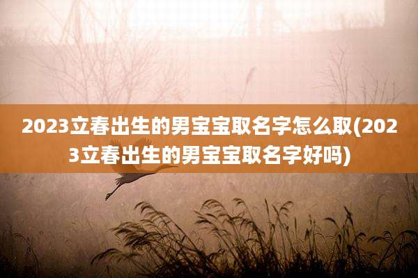 2023立春出生的男宝宝取名字怎么取(2023立春出生的男宝宝取名字好吗)