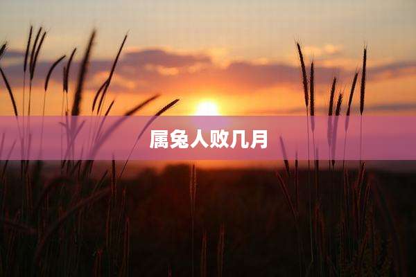 属兔人败几月
