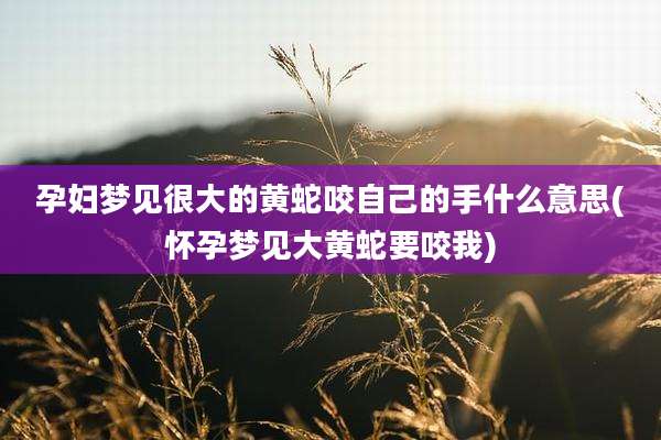 孕妇梦见很大的黄蛇咬自己的手什么意思(怀孕梦见大黄蛇要咬我)
