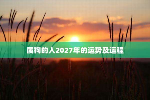 属狗的人2027年的运势及运程