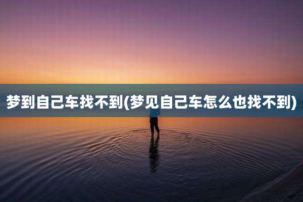 梦到自己车找不到(梦见自己车怎么也找不到)