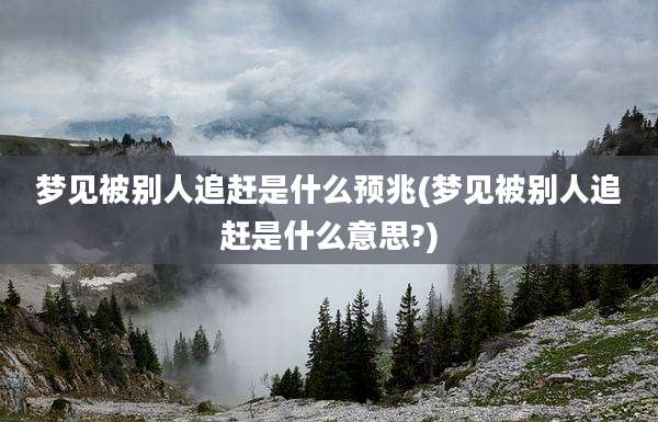 梦见被别人追赶是什么预兆(梦见被别人追赶是什么意思?)