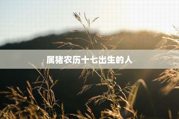 属猪农历十七出生的人