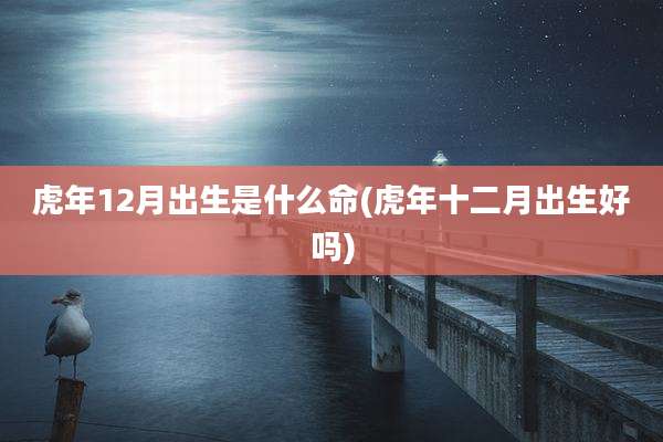 虎年12月出生是什么命(虎年十二月出生好吗)