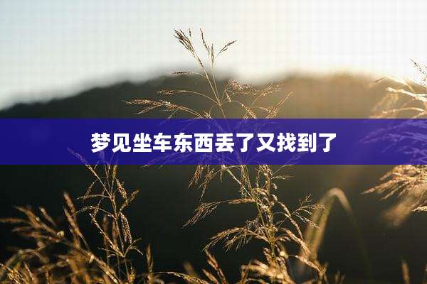 梦见坐车东西丢了又找到了