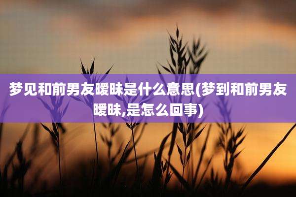 梦见和前男友暧昧是什么意思(梦到和前男友暧昧,是怎么回事)
