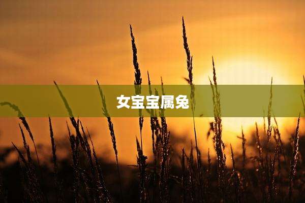女宝宝属兔