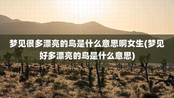 梦见很多漂亮的鸟是什么意思啊女生(梦见好多漂亮的鸟是什么意思)