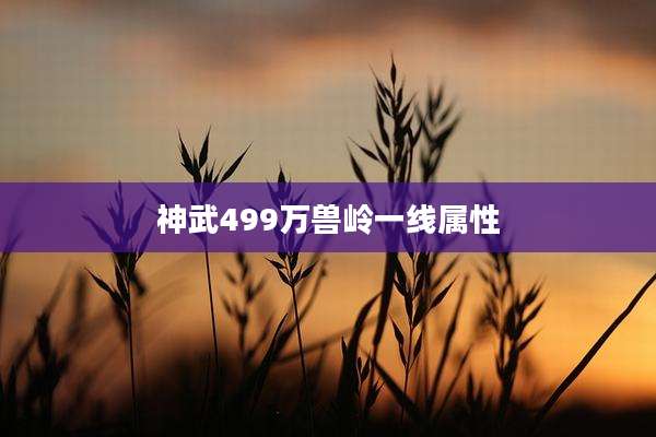 神武499万兽岭一线属性