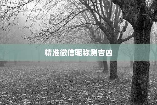 精准微信昵称测吉凶
