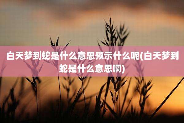 白天梦到蛇是什么意思预示什么呢(白天梦到蛇是什么意思啊)