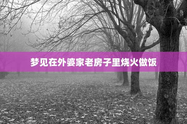 梦见在外婆家老房子里烧火做饭