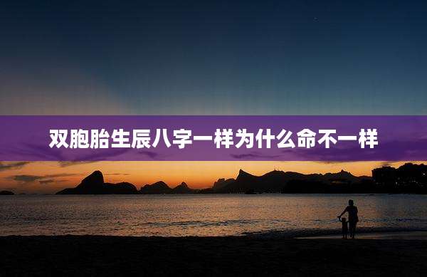 双胞胎生辰八字一样为什么命不一样