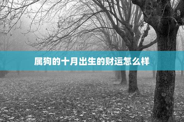 属狗的十月出生的财运怎么样