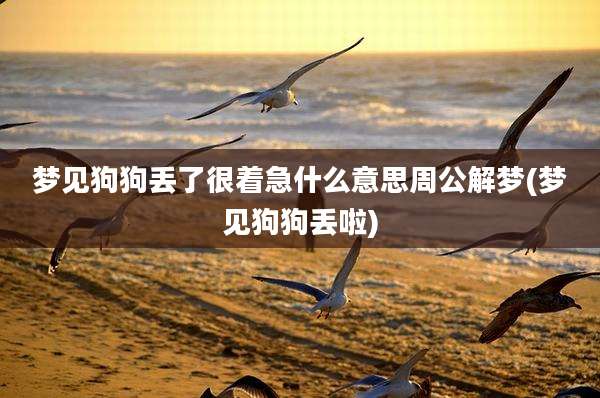 梦见狗狗丢了很着急什么意思周公解梦(梦见狗狗丢啦)