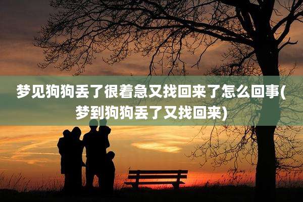 梦见狗狗丢了很着急又找回来了怎么回事(梦到狗狗丢了又找回来)