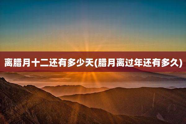 离腊月十二还有多少天(腊月离过年还有多久)