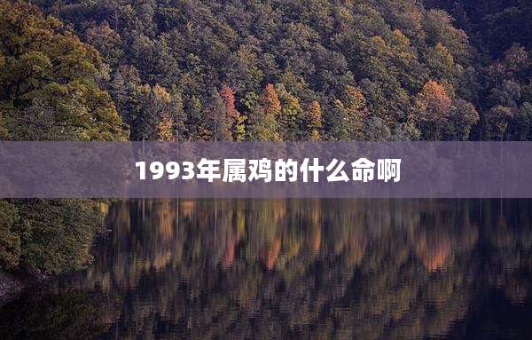 1993年属鸡的什么命啊