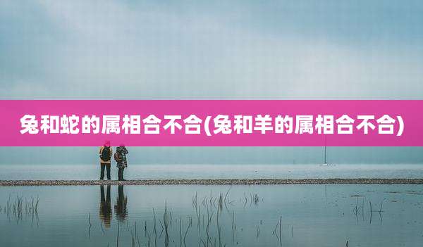 兔和蛇的属相合不合(兔和羊的属相合不合)
