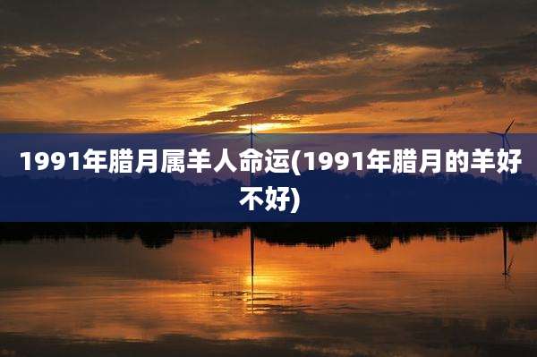 1991年腊月属羊人命运(1991年腊月的羊好不好)