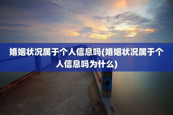婚姻状况属于个人信息吗(婚姻状况属于个人信息吗为什么)