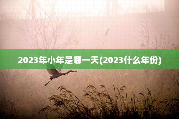 2023年小年是哪一天(2023什么年份)