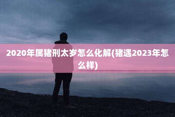 2020年属猪刑太岁怎么化解(猪遇2023年怎么样)