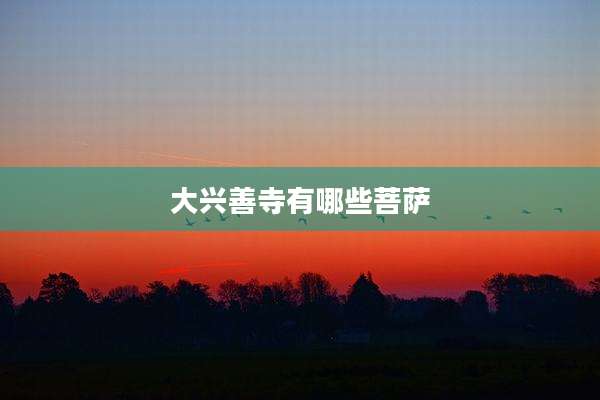 大兴善寺有哪些菩萨