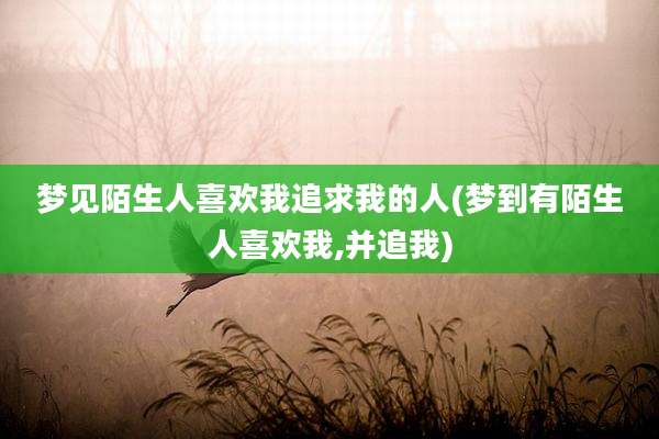 梦见陌生人喜欢我追求我的人(梦到有陌生人喜欢我,并追我)