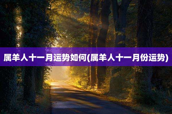 属羊人十一月运势如何(属羊人十一月份运势)