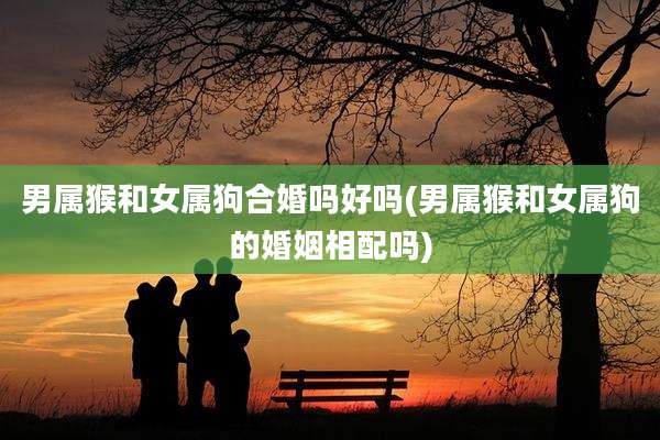 男属猴和女属狗合婚吗好吗(男属猴和女属狗的婚姻相配吗)