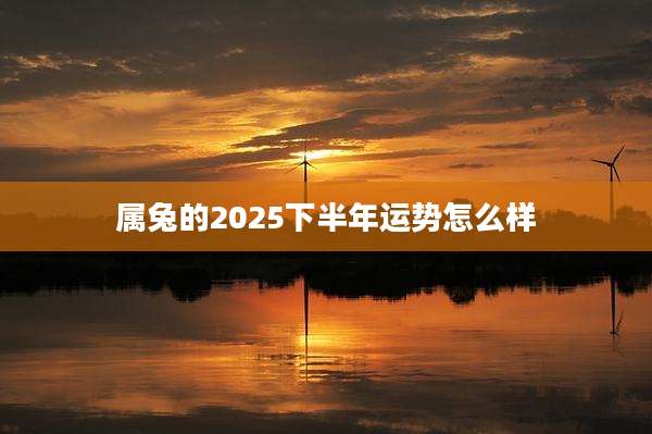 属兔的2025下半年运势怎么样