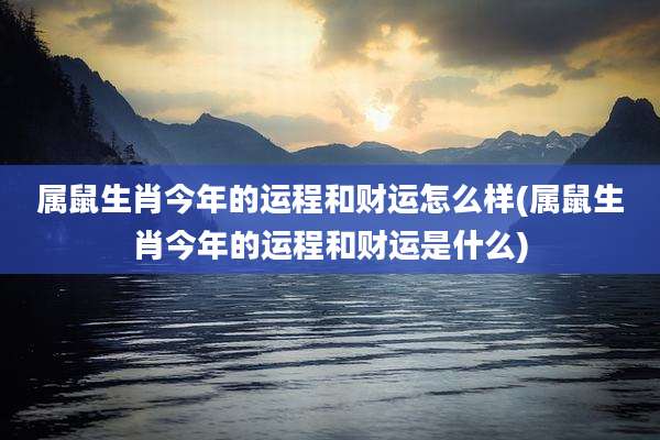 属鼠生肖今年的运程和财运怎么样(属鼠生肖今年的运程和财运是什么)