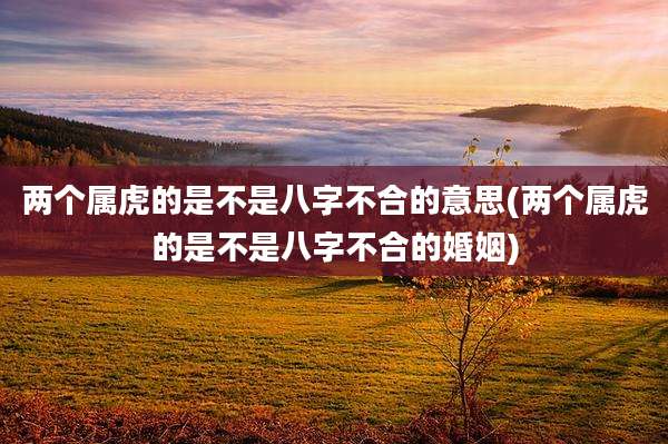 两个属虎的是不是八字不合的意思(两个属虎的是不是八字不合的婚姻)