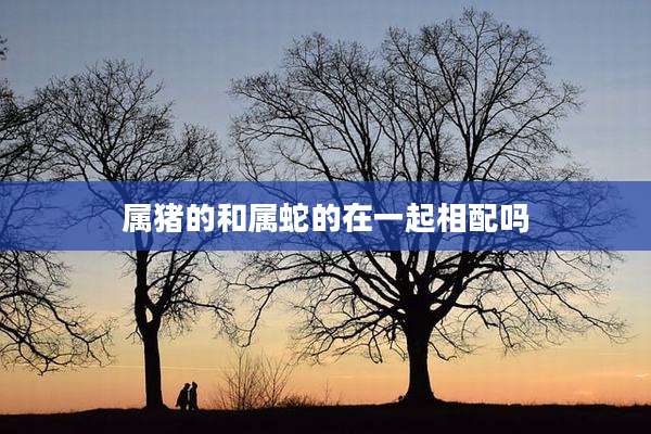 属猪的和属蛇的在一起相配吗