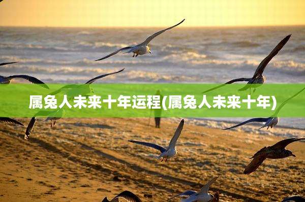 属兔人未来十年运程(属兔人未来十年)