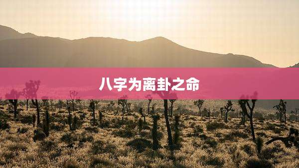 八字为离卦之命