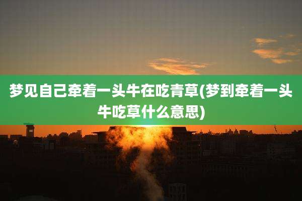 梦见自己牵着一头牛在吃青草(梦到牵着一头牛吃草什么意思)