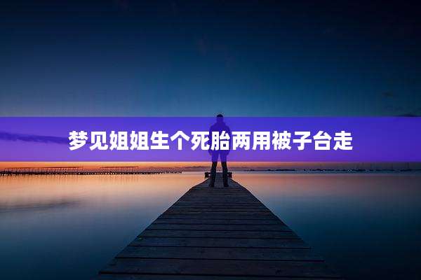 梦见姐姐生个死胎两用被子台走
