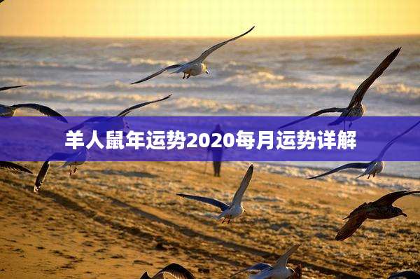 羊人鼠年运势2020每月运势详解