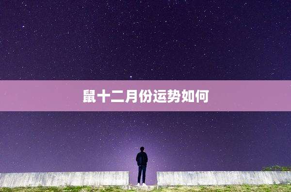 鼠十二月份运势如何