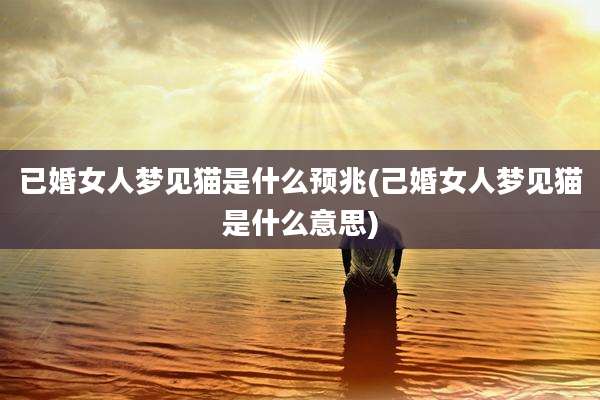 已婚女人梦见猫是什么预兆(己婚女人梦见猫是什么意思)