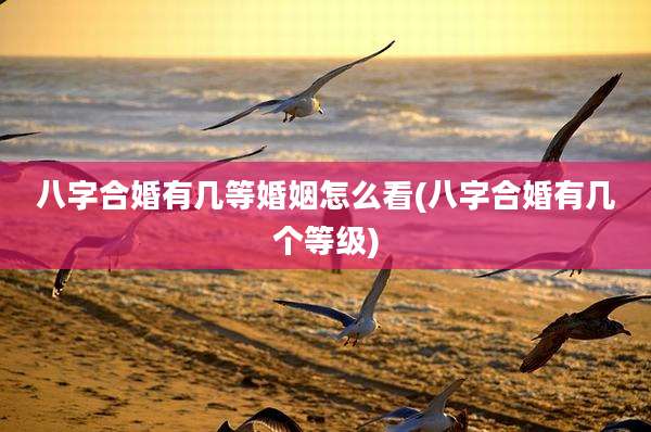 八字合婚有几等婚姻怎么看(八字合婚有几个等级)