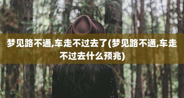 梦见路不通,车走不过去了(梦见路不通,车走不过去什么预兆)