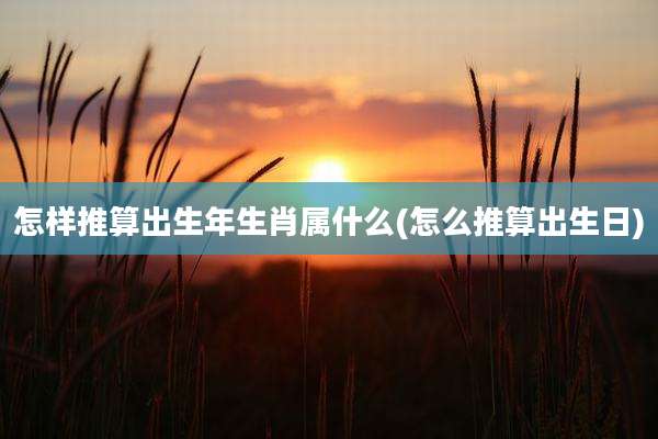 怎样推算出生年生肖属什么(怎么推算出生日)