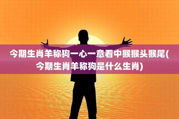 今期生肖羊称狗一心一意看中猴猴头猴尾(今期生肖羊称狗是什么生肖)