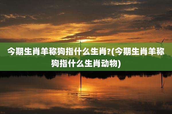 今期生肖羊称狗指什么生肖?(今期生肖羊称狗指什么生肖动物)