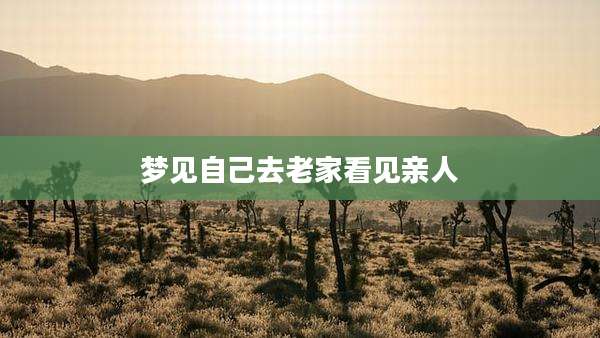 梦见自己去老家看见亲人