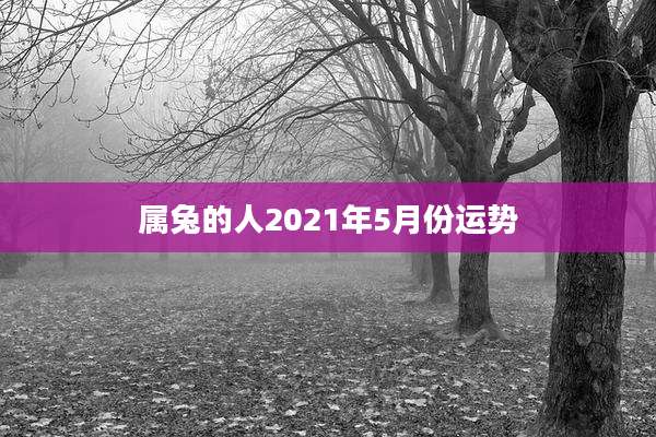 属兔的人2021年5月份运势